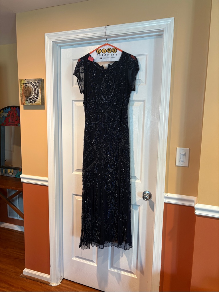 Pisarro Nights Beaded Short-Sleeve Evening Dress